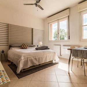Studio met een King Size Bed